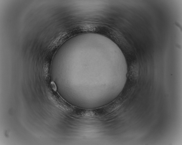 X0000101210600200807111035