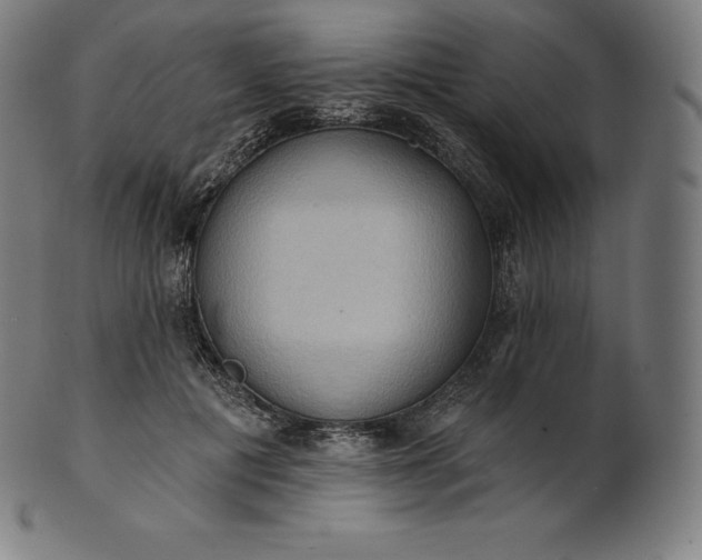 X0000101210601200807111035