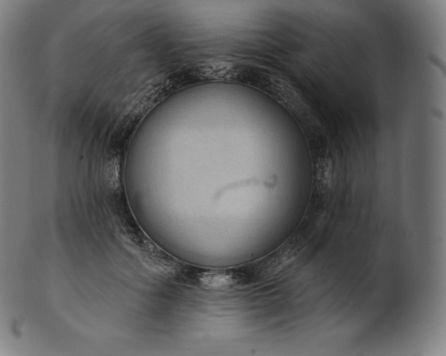 X0000101210602200807111035