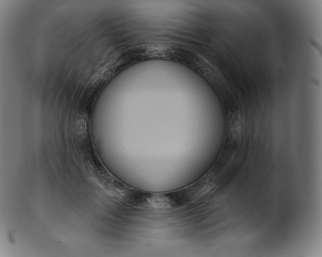 X0000101210603200807111035