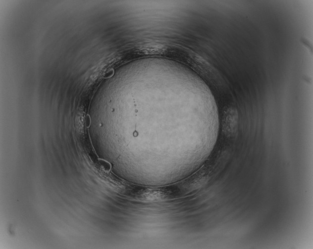 X0000101210604200807111035