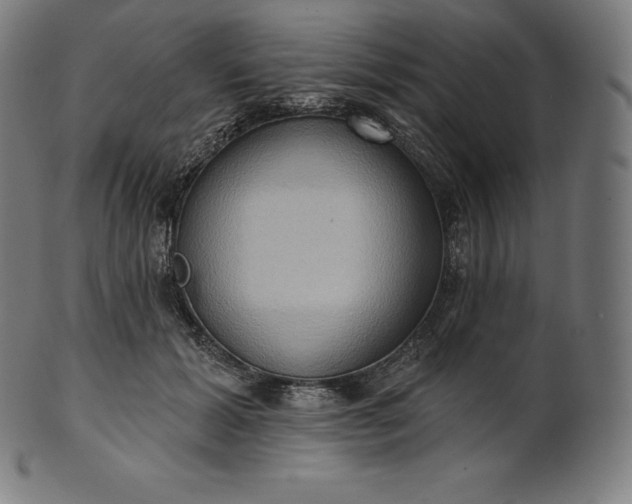 X0000101210605200807111035