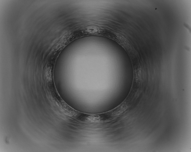 X0000101210606200807111035