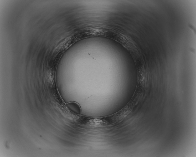 X0000101210607200807111035