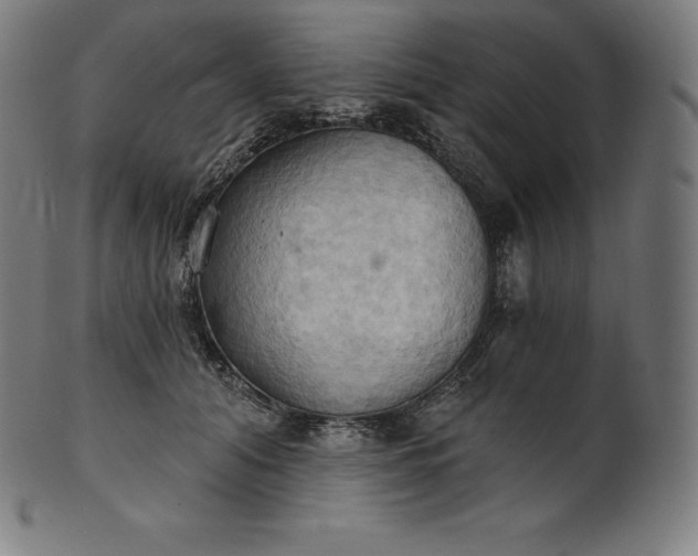 X0000101210608200807111035