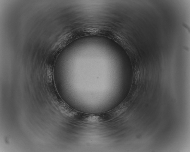 X0000101210609200807111035