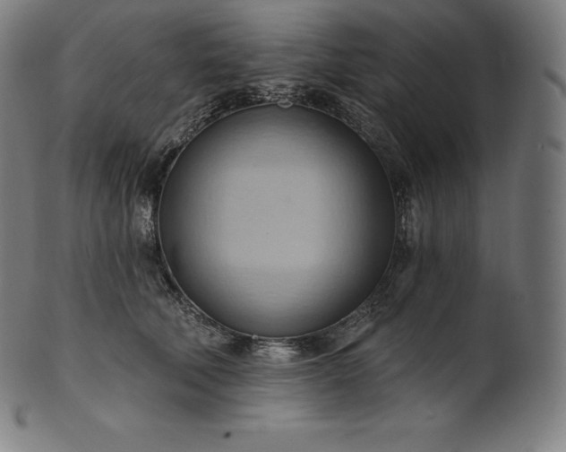 X0000101210610200807111035