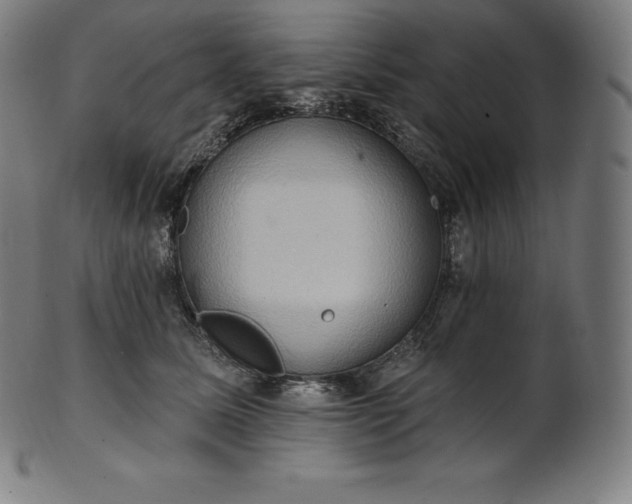 X0000101210611200807111035