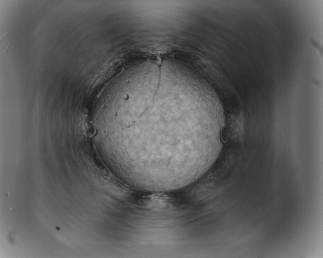 X0000101210612200807111035