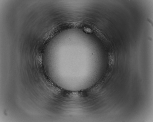 X0000101210613200807111035