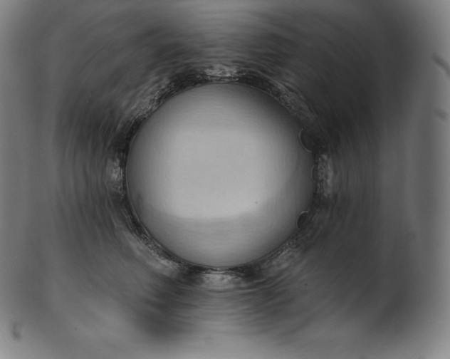 X0000101210614200807111035