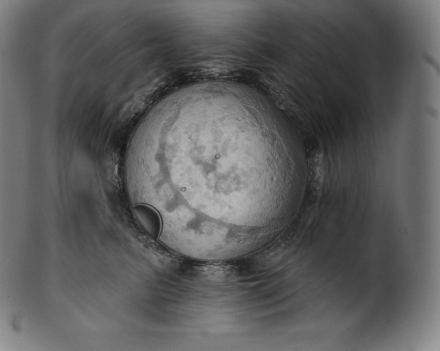 X0000101210615200807111035