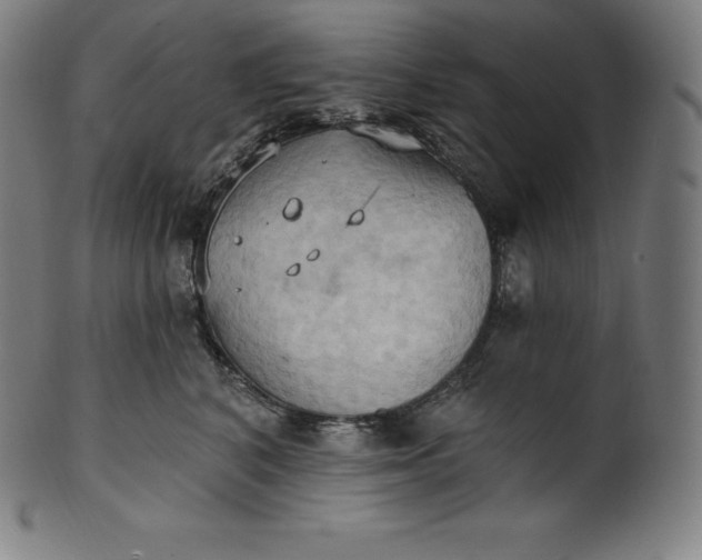 X0000101210616200807111035