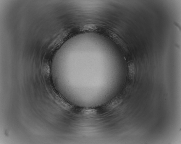 X0000101210617200807111035