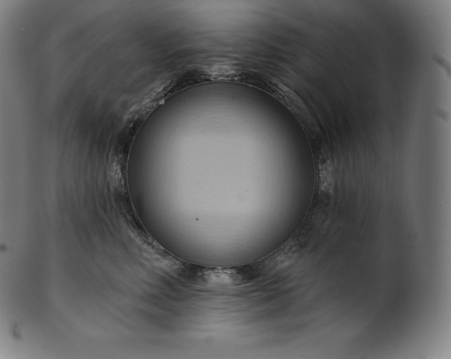 X0000101210618200807111035