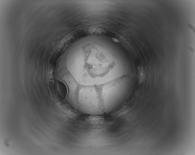 X0000101210619200807111035