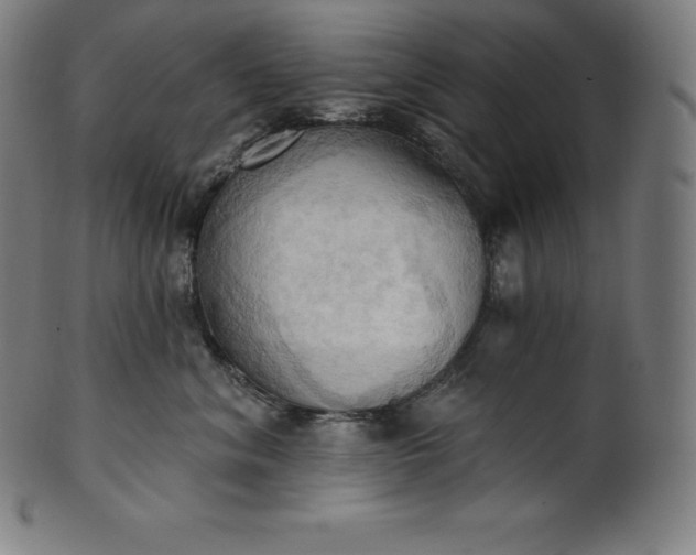 X0000101210620200807111034