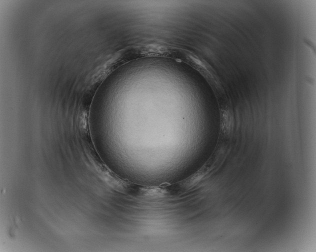 X0000101210621200807111034