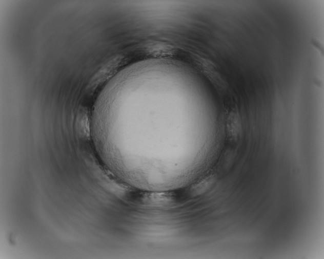 X0000101210622200807111034