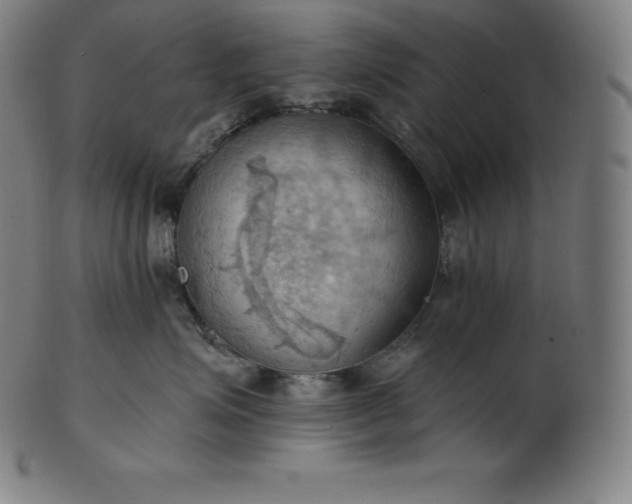 X0000101210623200807111034