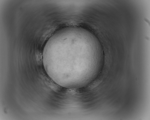 X0000101210624200807111034