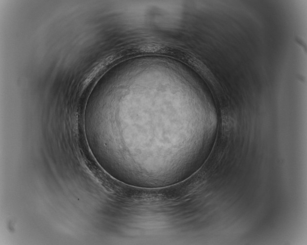 X0000101210626200807111034