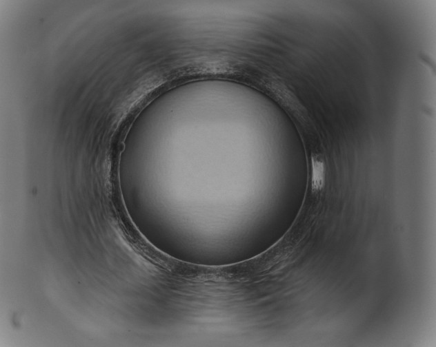 X0000101210627200807111034