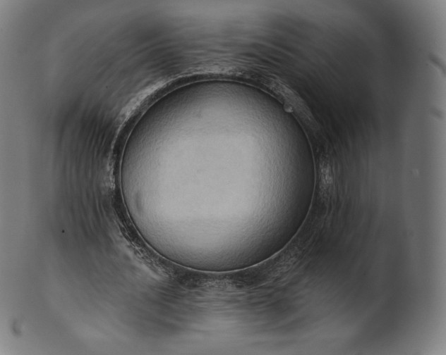 X0000101210628200807111034