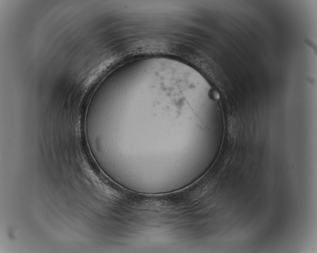 X0000101210629200807111034