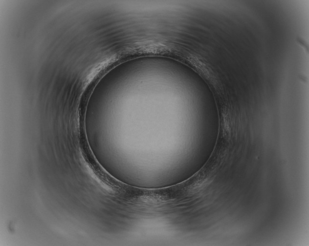 X0000101210630200807111034