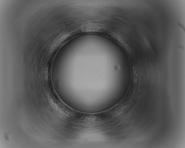 X0000101210631200807111034