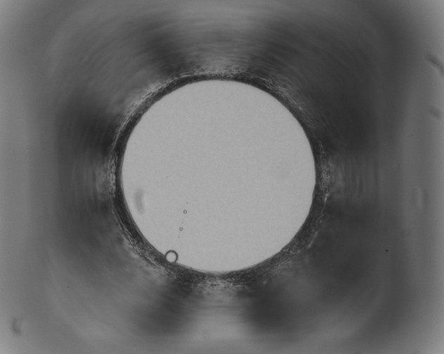 X0000101210632200807111034