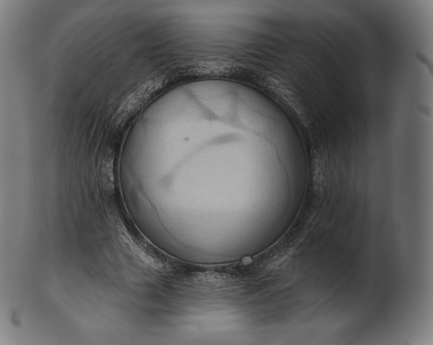 X0000101210633200807111034