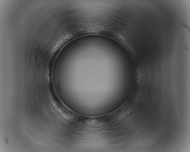 X0000101210634200807111034