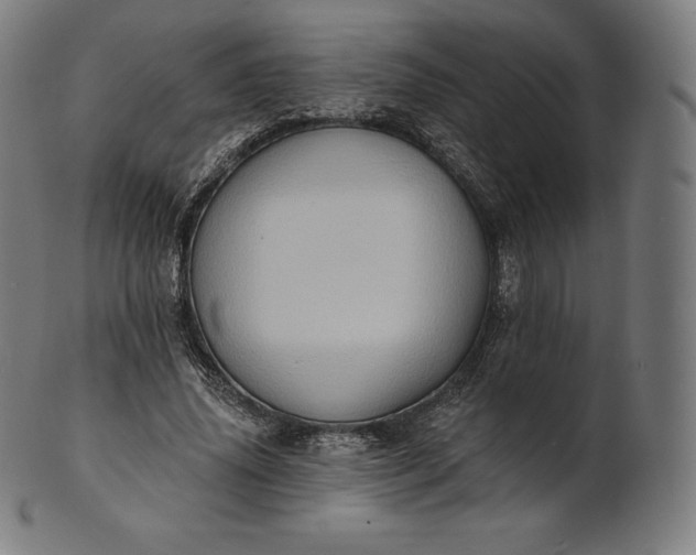 X0000101210636200807111034