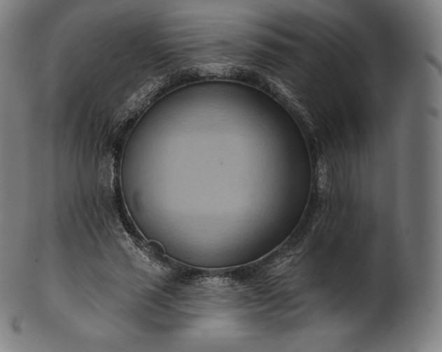 X0000101210637200807111034