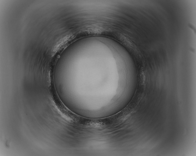 X0000101210638200807111034