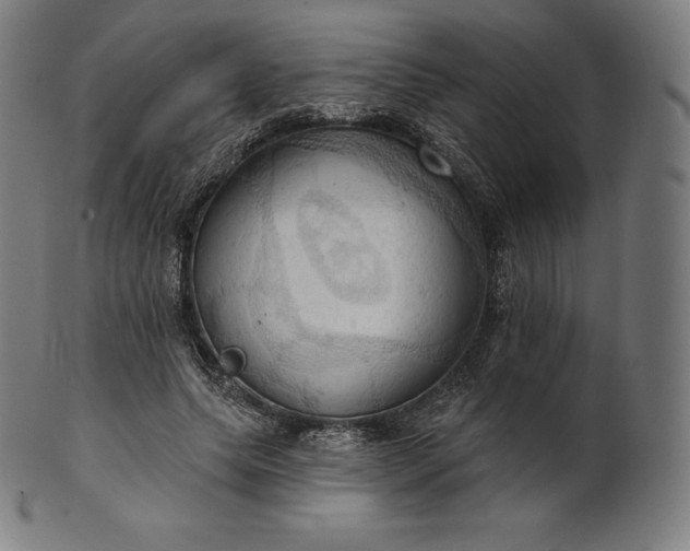 X0000101210639200807111034