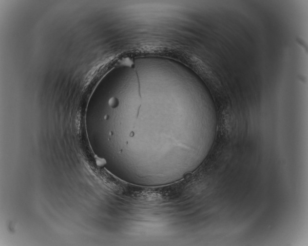 X0000101210640200807111034