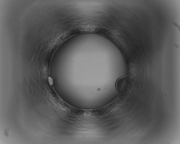 X0000101210641200807111034