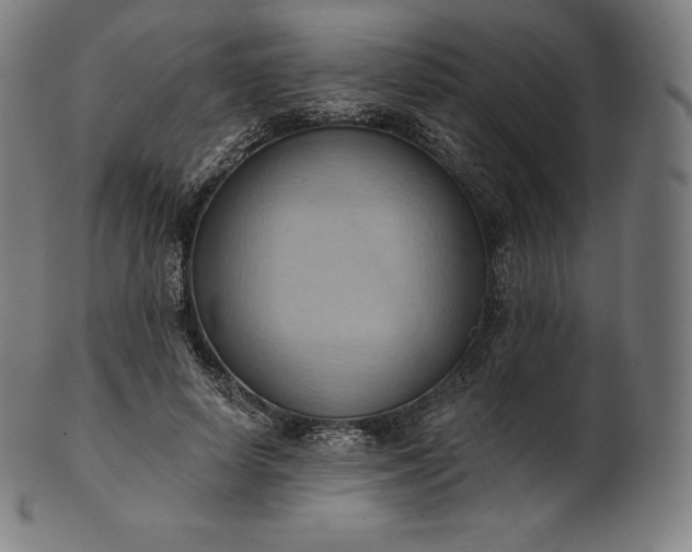 X0000101210642200807111034