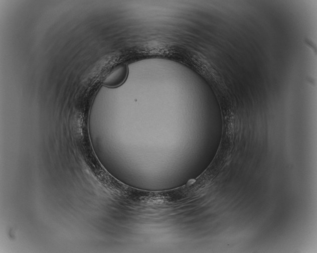 X0000101210643200807111034