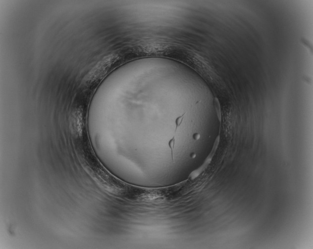 X0000101210644200807111034