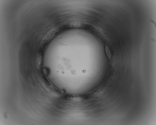 X0000101210645200807111034