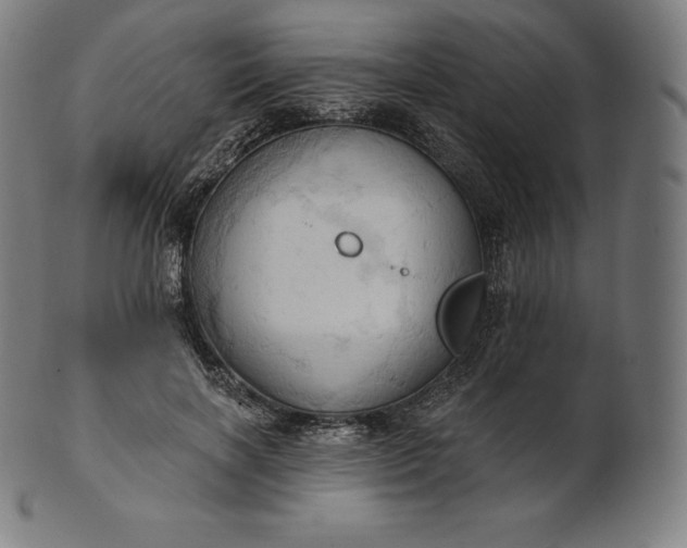 X0000101210646200807111034