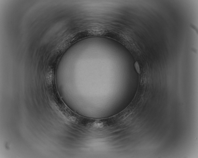 X0000101210647200807111034