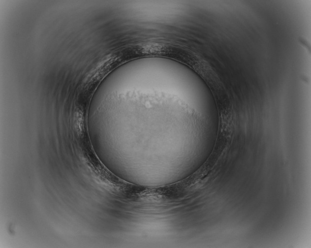 X0000101210648200807111034