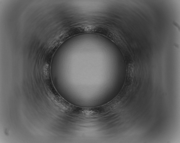 X0000101210650200807111034