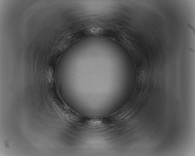 X0000101210651200807111034