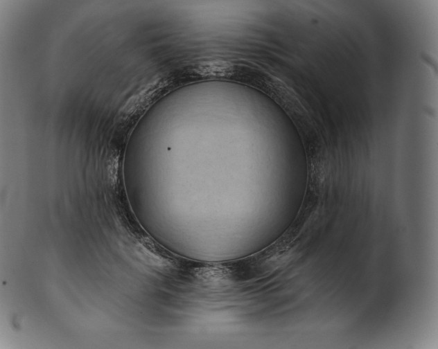 X0000101210652200807111034